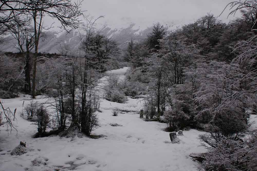 Argentina 082 - parque nacional de Tierra de Fuego.jpg